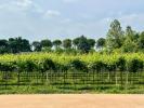 Annonce Vente Maison Verona