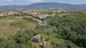 Acheter Maison Cannara rgion PERUGIA