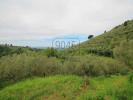 Acheter Maison Montecatini-alto rgion PISTOIA