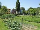 Acheter Terrain Bucine rgion AREZZO