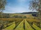 Annonce Vente Maison Siena