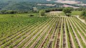 Annonce Vente Terrain Sinalunga