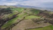 Annonce Vente Terrain Asciano