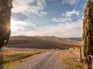 Acheter Terrain 32767 m2 Asciano