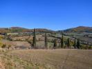 Acheter Terrain Asciano rgion SIENA