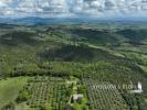Annonce Vente Maison Marsciano