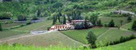 Annonce Vente Terrain Cremolino