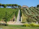 Annonce Vente Terrain Massa-marittima