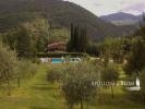 Annonce Vente Maison Castel-focognano