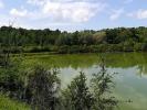 Acheter Terrain 32767 m2 Gambassi-terme