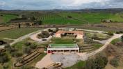 Acheter Terrain 32767 m2 Orbetello