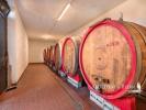 Acheter Terrain 32767 m2 Montepulciano
