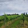 Vente Terrain Montepulciano 53045