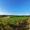 Annonce Vente Terrain Montepulciano