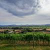 Acheter Terrain Montepulciano rgion SIENA