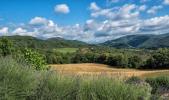 Acheter Maison Greve-in-chianti rgion FIRENZE