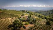 Annonce Vente Maison Gaiole-in-chianti