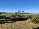 Acheter Maison 300 m2 Monticello-amiata