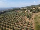 Acheter Maison Monticello-amiata rgion GROSSETO