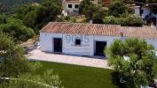 Acheter Maison Budoni rgion OLBIA-TEMPIO