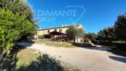 Acheter Maison 450 m2 Manciano