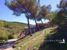Acheter Maison Castellina-in-chianti r�gion SIENA
