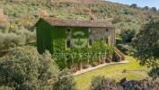 Annonce Vente Maison Cortona