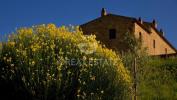 Acheter Maison Trequanda r�gion SIENA