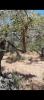 Acheter Terrain Trabia