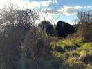 Vente Maison Gubbio 06020