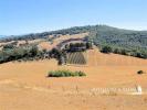 Acheter Maison 250 m2 Magliano-in-toscana