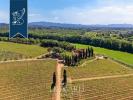 Annonce Vente 30 pi�ces Maison Montescudaio
