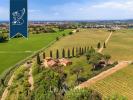 Acheter Maison 7000 m2 Montescudaio