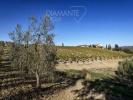 Acheter Maison Castel-del-piano r�gion GROSSETO