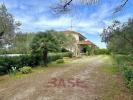 Acheter Appartement 155 m2 Cecina