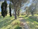 Acheter Maison Cecina r�gion LIVORNO