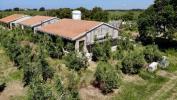 Annonce Vente 4 pi�ces Maison Bibbona