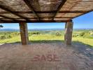 Annonce Vente Terrain Riparbella