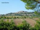 Vente Terrain Casale-marittimo 56040