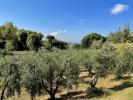 Annonce Vente Terrain Casale-marittimo