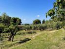 Acheter Terrain Casale-marittimo r�gion PISA