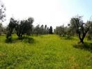 Annonce Vente Terrain Rosignano-marittimo