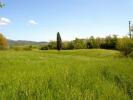 Annonce Vente Terrain Castellina-marittima