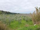 Acheter Appartement Santa-luce r�gion PISA
