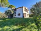 Annonce Vente 8 pi�ces Maison Montescudaio