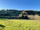 Annonce Vente Terrain Guardistallo