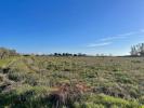 Vente Terrain Cecina 57023