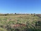 Annonce Vente Terrain Cecina