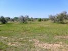 Annonce Vente Terrain Cecina