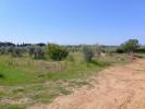 Acheter Terrain 90 m2 Cecina